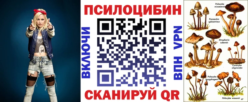 KRAKEN ТОР  Катав-Ивановск  Псилоцибиновые грибы Psilocybine cubensis 